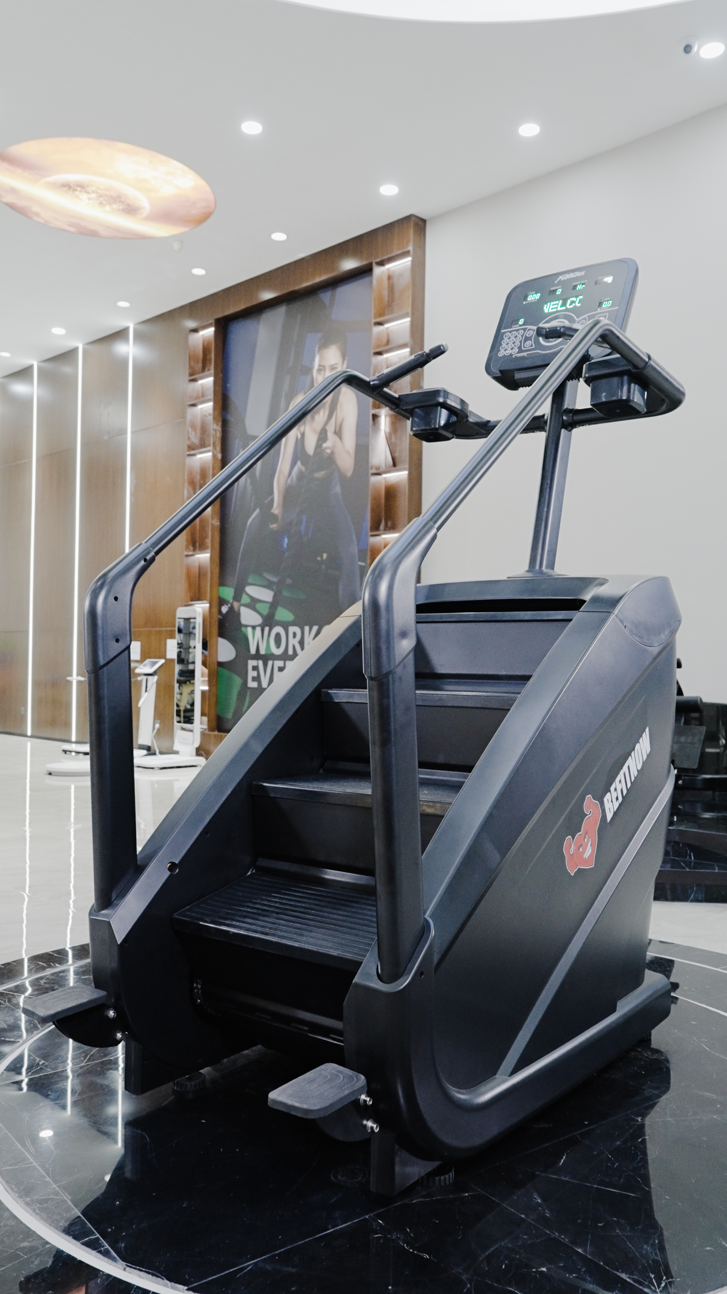 Stair Climber 3000 - the Peak Punisher